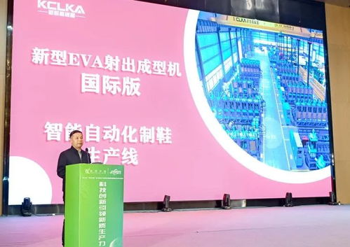 科技赋能 智造未来 2024科创中国技术服务大会在安海举行，点亮泉州智能装备制造新篇章